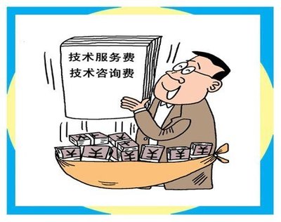 技術(shù)服務(wù)費(fèi)與技術(shù)咨詢的含義與關(guān)系解析